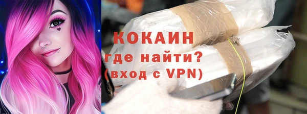 дживик Богородск