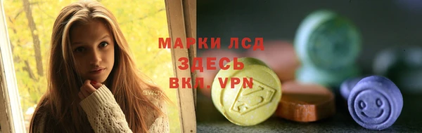 дживик Богородск