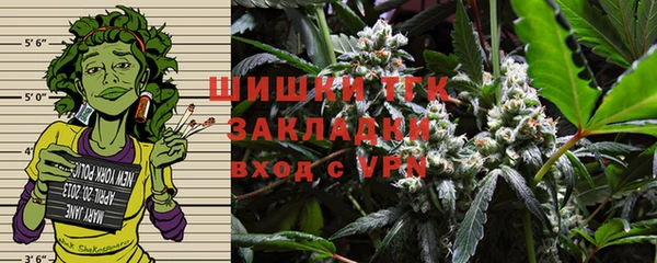 дживик Богородск