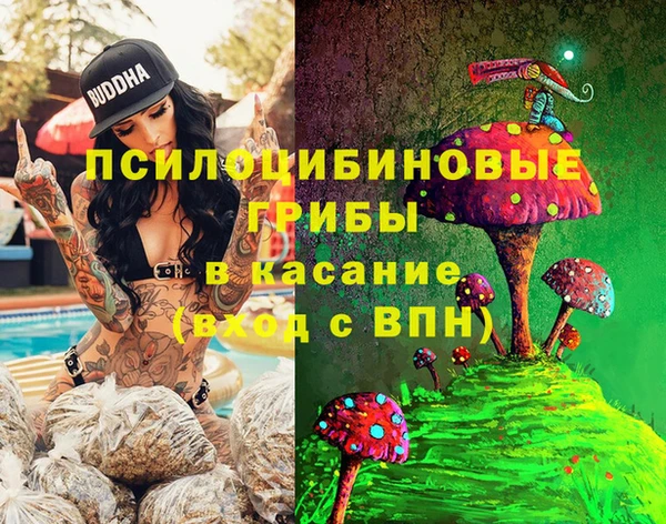 дживик Богородск