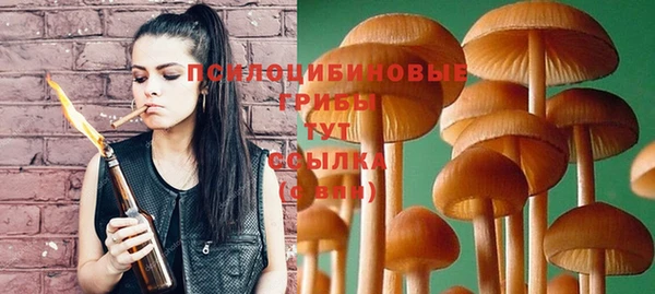 гашиш Богородицк