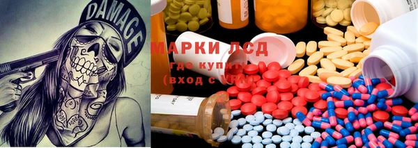 дживик Богородск
