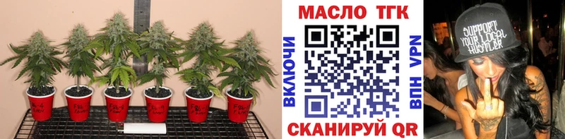 ТГК концентрат  Омск 